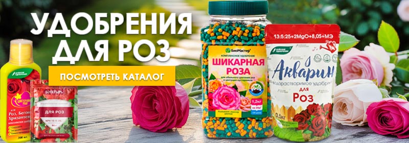 Удобрения для роз